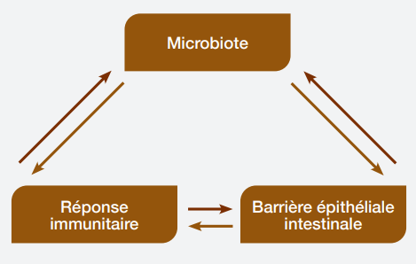 microbiome colonization resistance